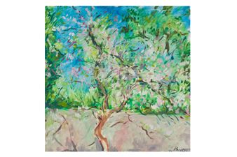 Apple tree - Antonio Pacitti