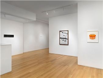 Levity - Alexander Berggruen