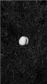 Tang Yi’s Photography (2011-2023): Dust Grows in Time - Aye Gallery