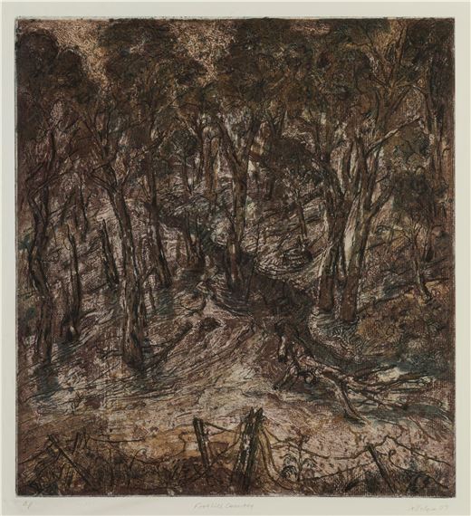 Foothill Country 2007 by Jeff Faulkner, 2007