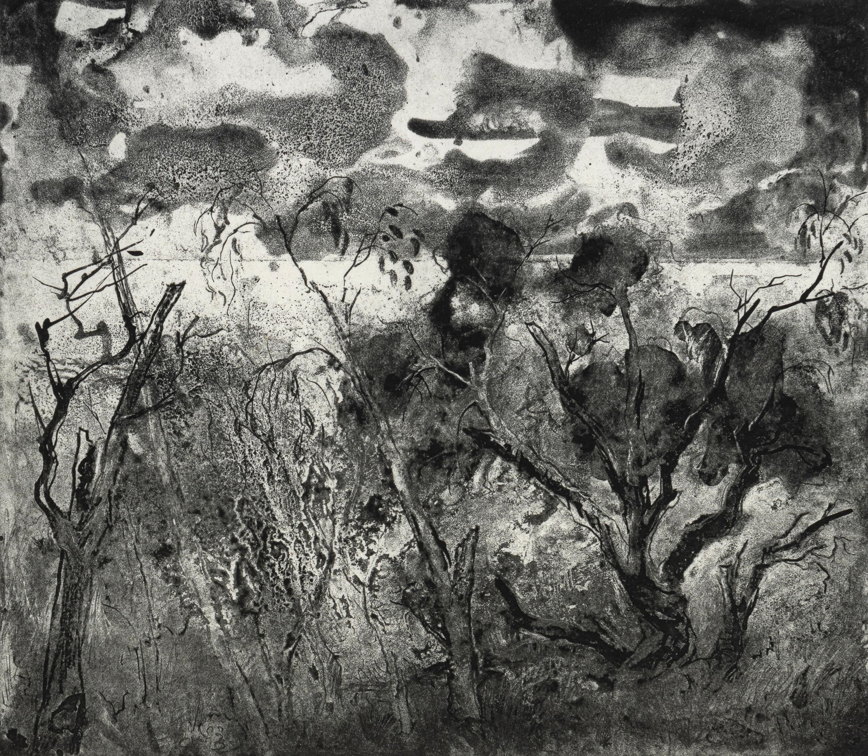Artwork by Jeff Faulkner, Dry Country, Made of etching