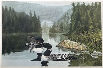 Great Northern Divers - Frank Dematteis
