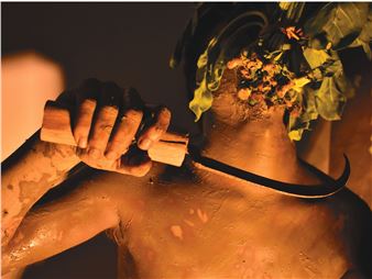 Species, Soil and Successors - Oyoun