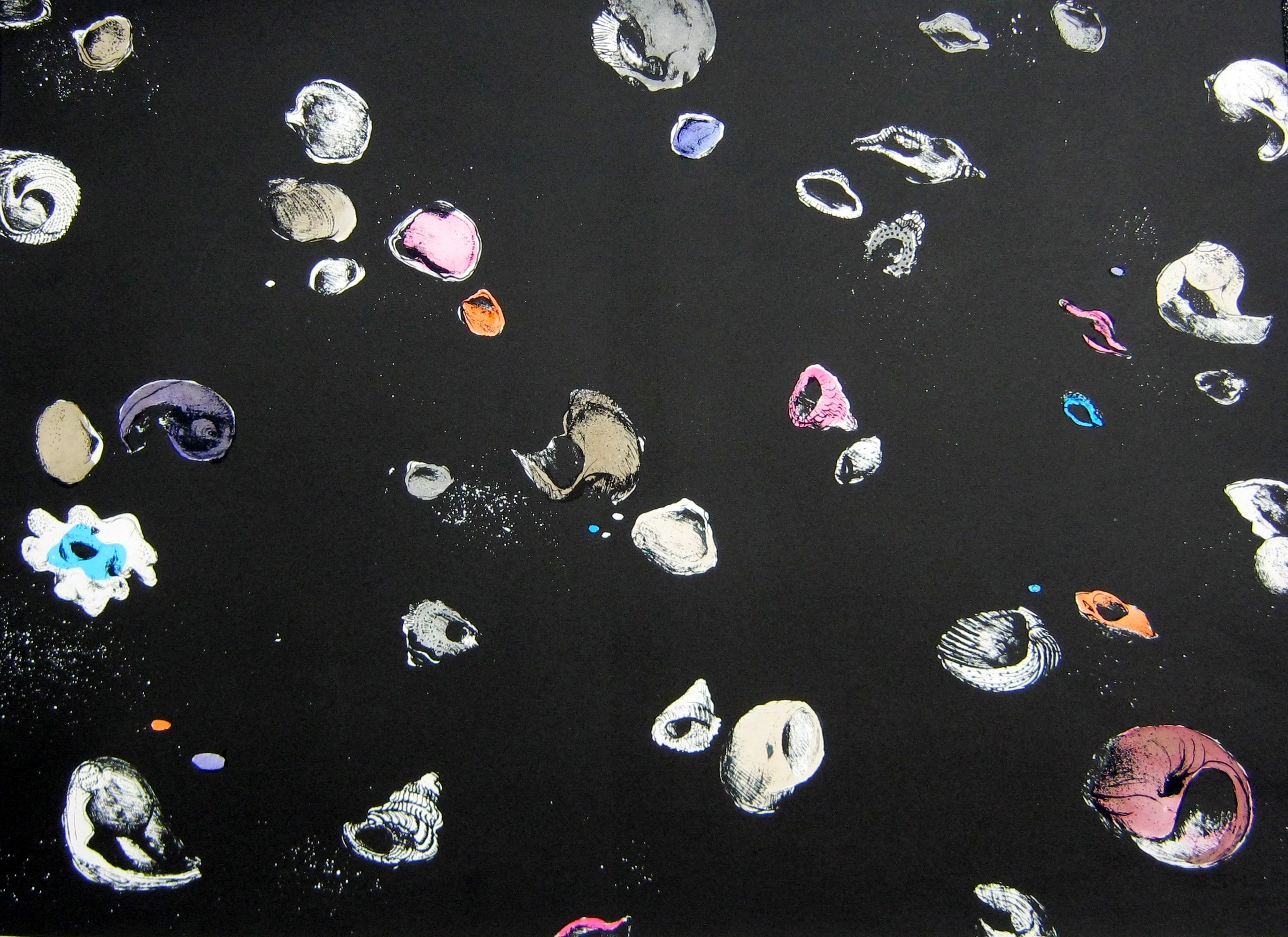 Ghitta Caiserman-Roth | Shells (82) | MutualArt
