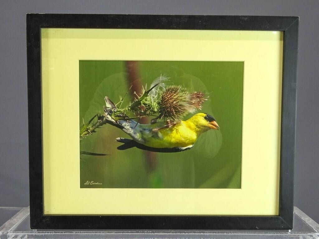 Artwork by Al Erickson, color bird photographs, Made of photographs