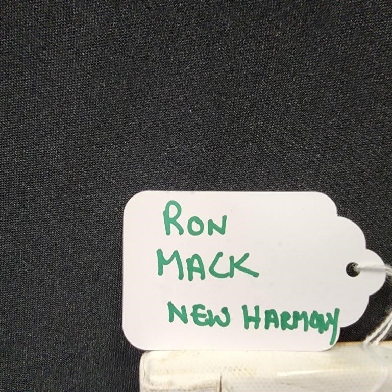 Ronald Mack | New Harmony Home | MutualArt