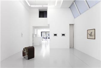 Tangling (in) the coil - Galerie Fiebach & Minninger