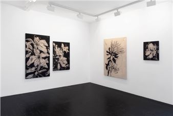 Benjamin Murphy: Iconoclasm - Union Gallery