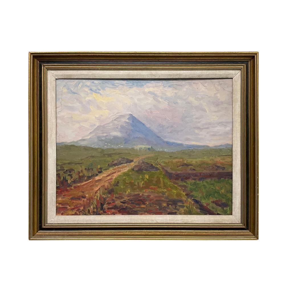 Artwork by Vincent Madden, Tully Mountain, Made of oil on board