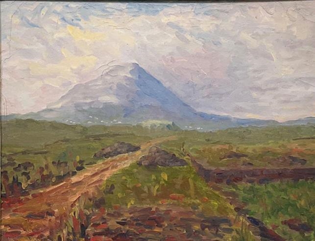 Artwork by Vincent Madden, Tully Mountain, Made of oil on board
