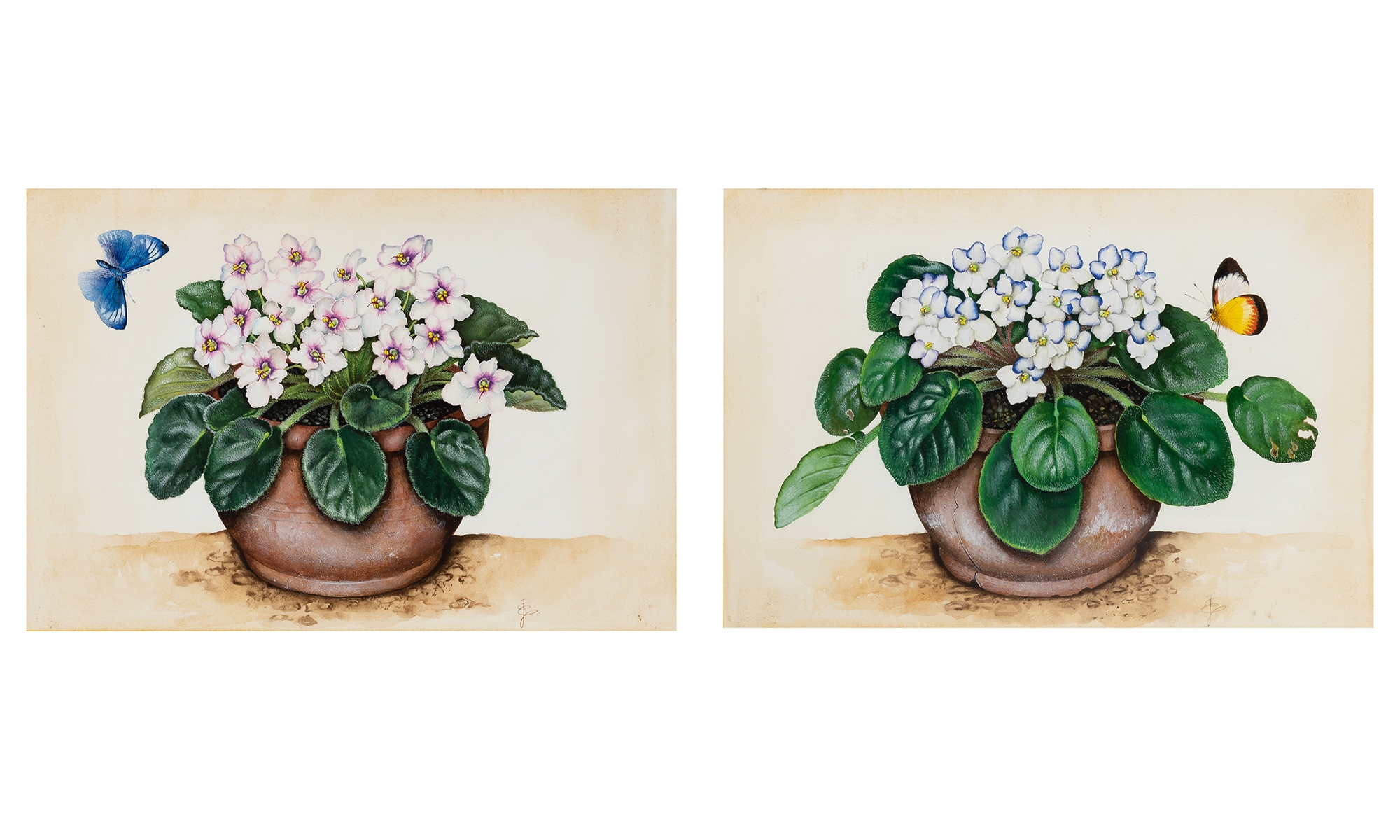 José Escofet | Potted Plants with Butterflies (1930) | MutualArt