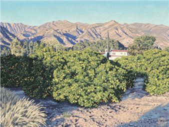 The California Scene