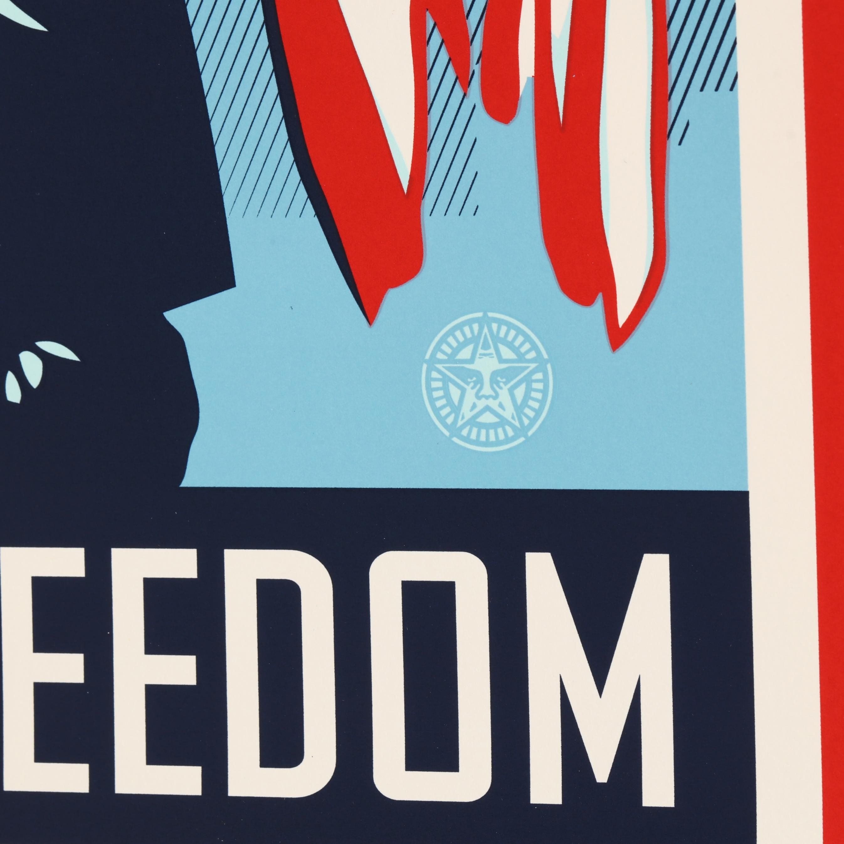Shepard Fairey | Farewell to Freedom (Stephen Colbert) / Danger: No ...