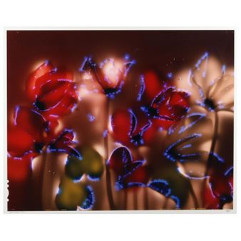 Cyclamen Persicum - Robert Buelteman