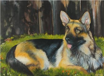 'STUDY OF A GERMAN SHEPHERD' - David Sheilds
