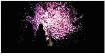 Connect Me  - Trapholt