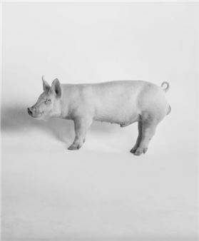 Heji Shin: The Big Nudes - David Zwirner, New York (52 Walker)