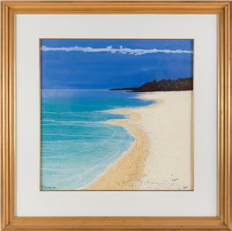 Tropical coastal landscape. - Richard England