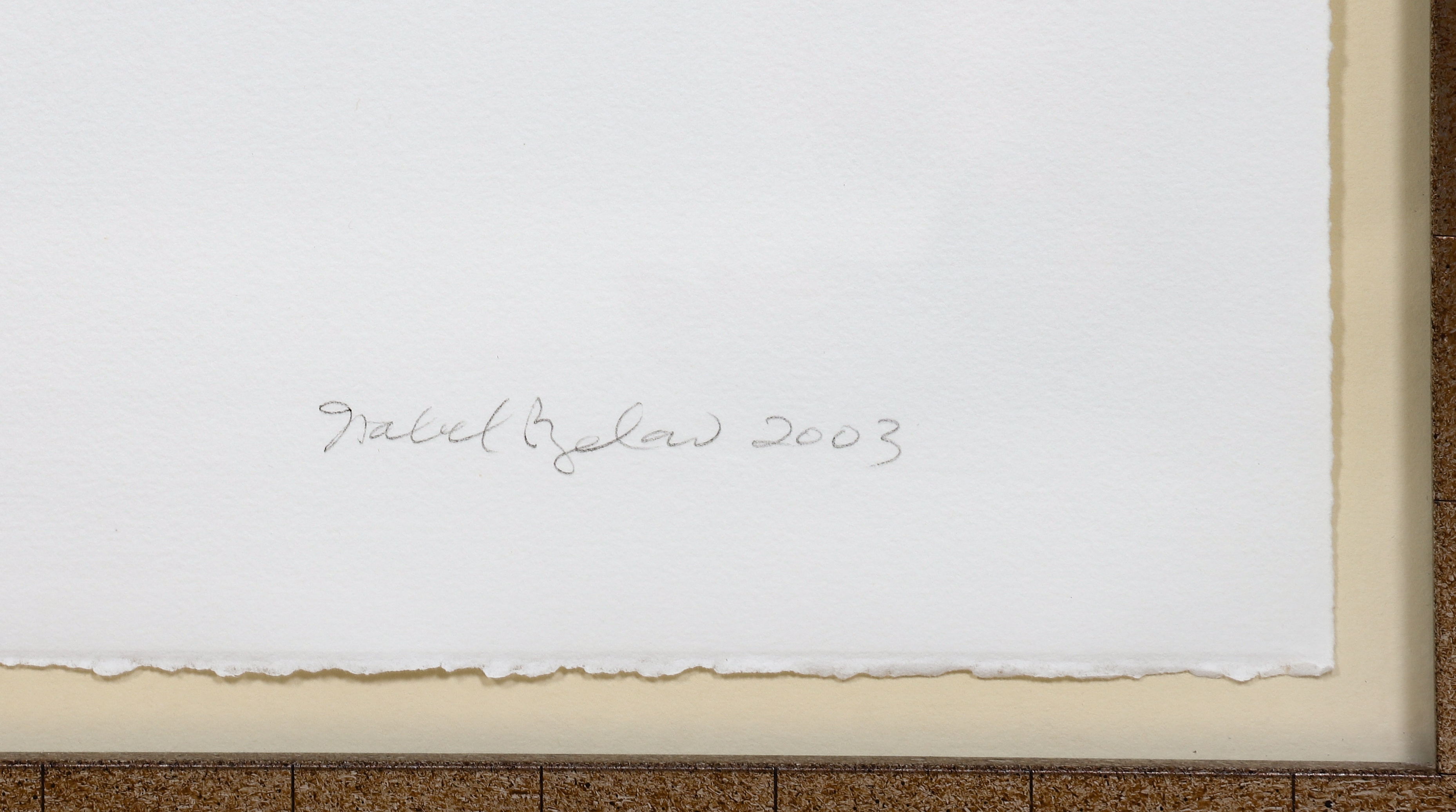 Artwork by Isabel Bigelow, Abstract monoprints, Made of color etching on paper (4)