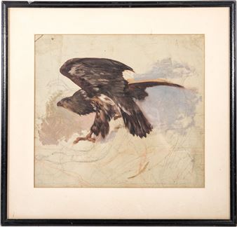 Portrait Of Hawk - Antonie Fromholz Birnbach