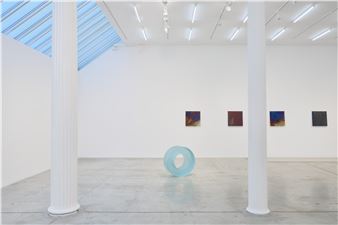 Ann Veronica Janssens: After the peacock wheel - Bortolami (39 Walker)