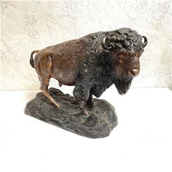 American Bison - Benje