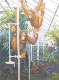 Orangutangs - Pat Fridell