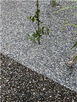 Eleventh Hour - Galerie Max Mayer