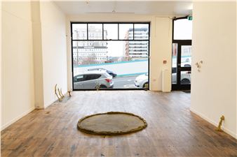 Pieces Spaces Species - Blue Oyster