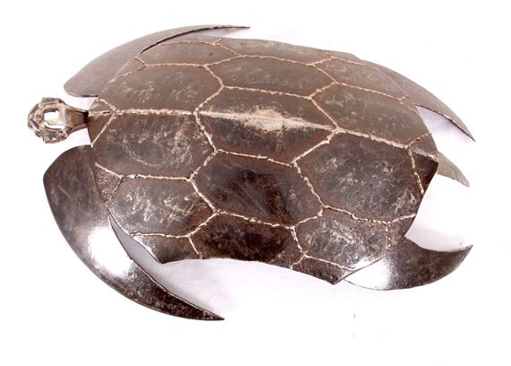 Niel Le Roux | TURTLE | MutualArt