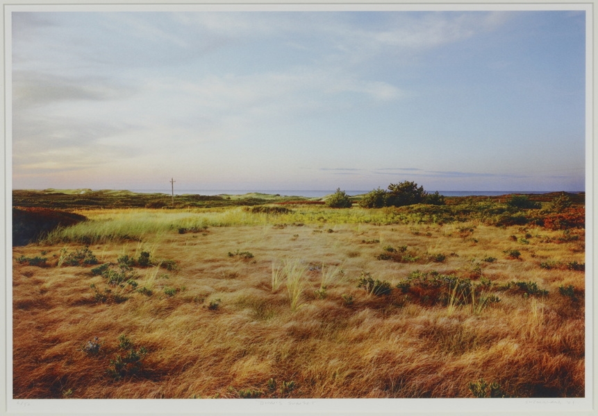 Artwork by Daniel Sutherland, "Dion's Sunset", Made of color giclee