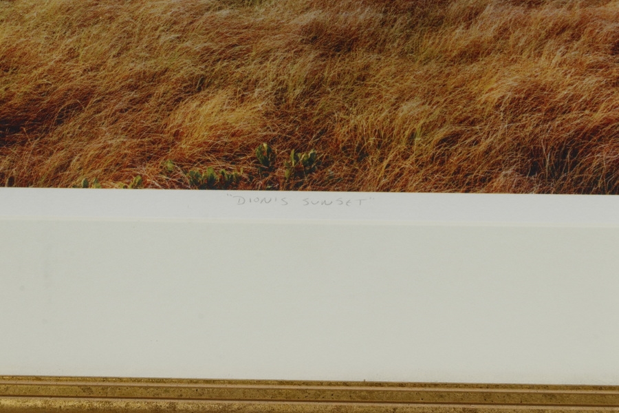 Artwork by Daniel Sutherland, "Dion's Sunset", Made of color giclee