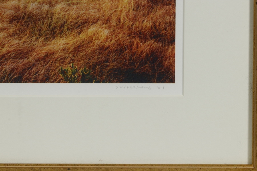 Artwork by Daniel Sutherland, "Dion's Sunset", Made of color giclee