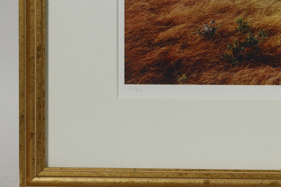 Artwork by Daniel Sutherland, "Dion's Sunset", Made of color giclee