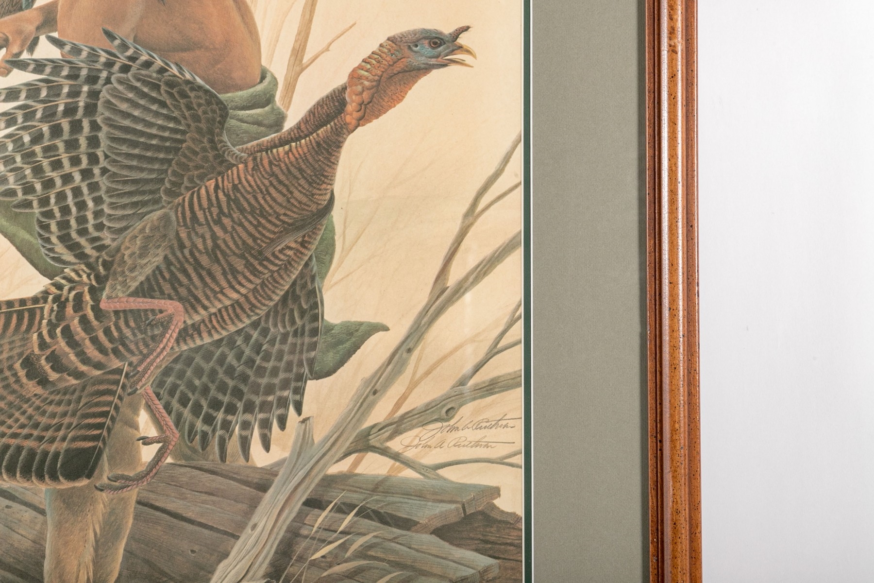 John Ruthven | Wandering Brave | MutualArt