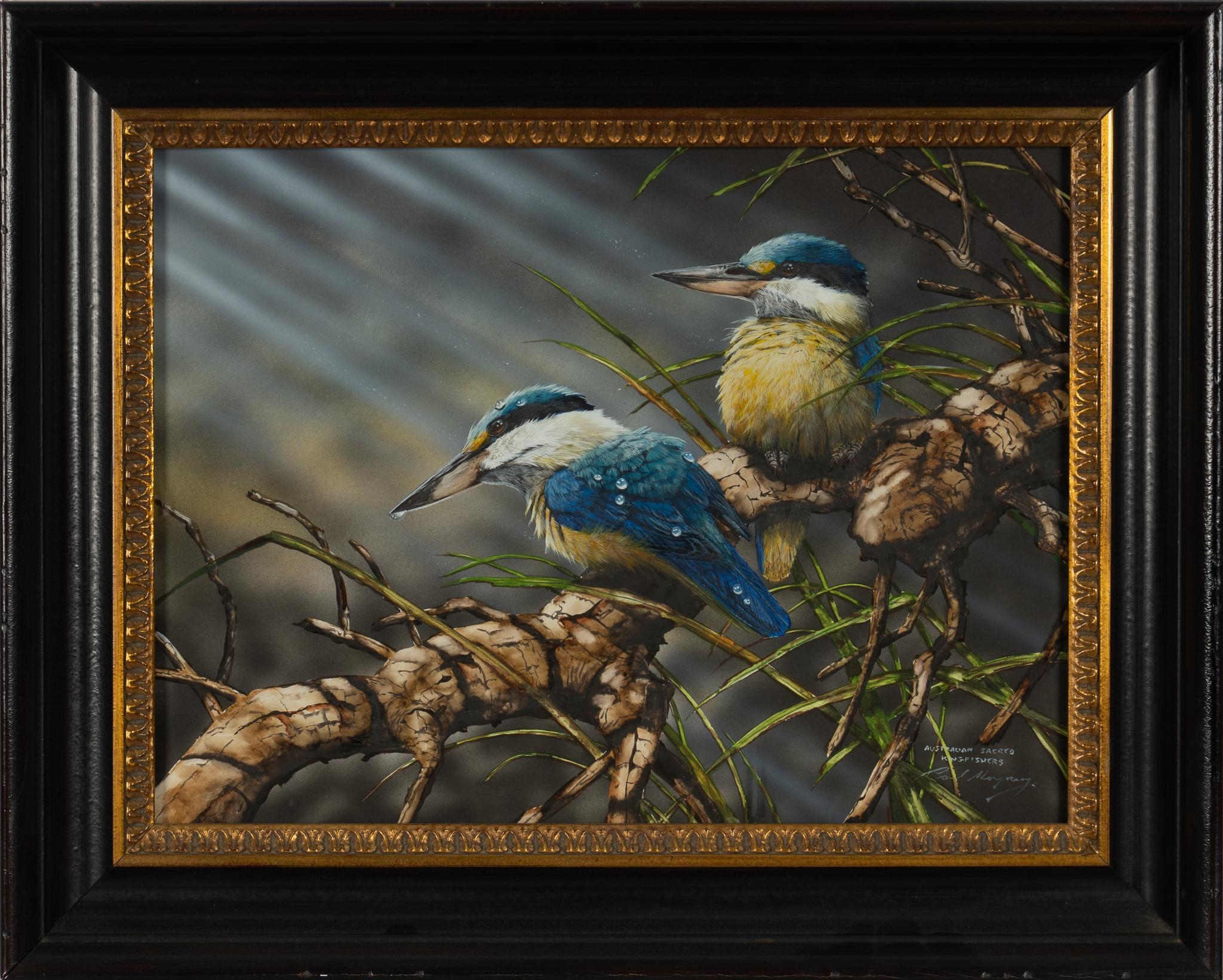 Paul Margocsy | Australian Sacred Kingfishers | MutualArt