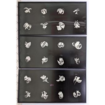 FRACTION - Elín Hansdóttir