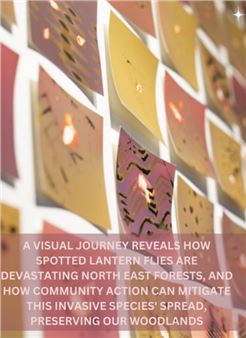 Heather Palecek: Squash ‘Em - UVA Gallery at the Arthaus