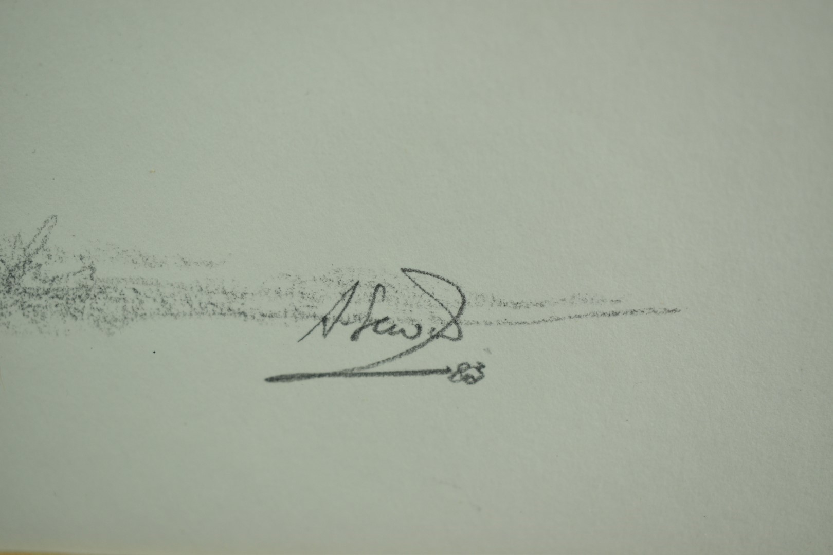 Artwork by Ann Seward, Hare portraits, Made of watercolour and pencil