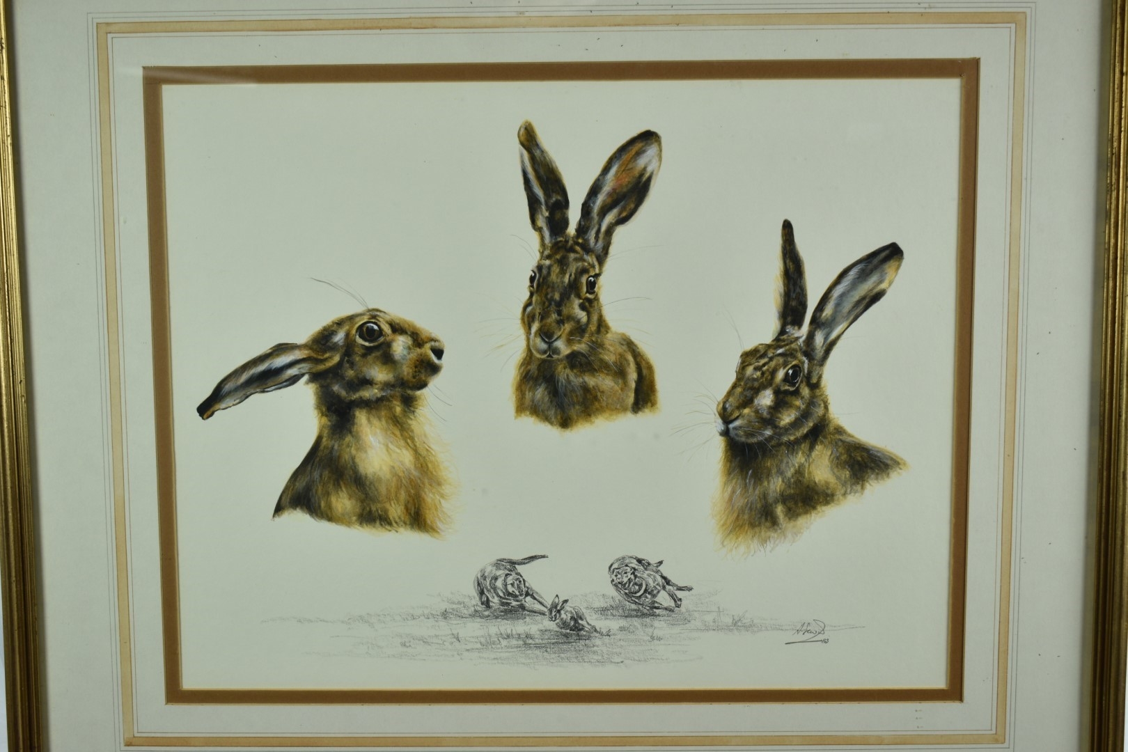 Artwork by Ann Seward, Hare portraits, Made of watercolour and pencil
