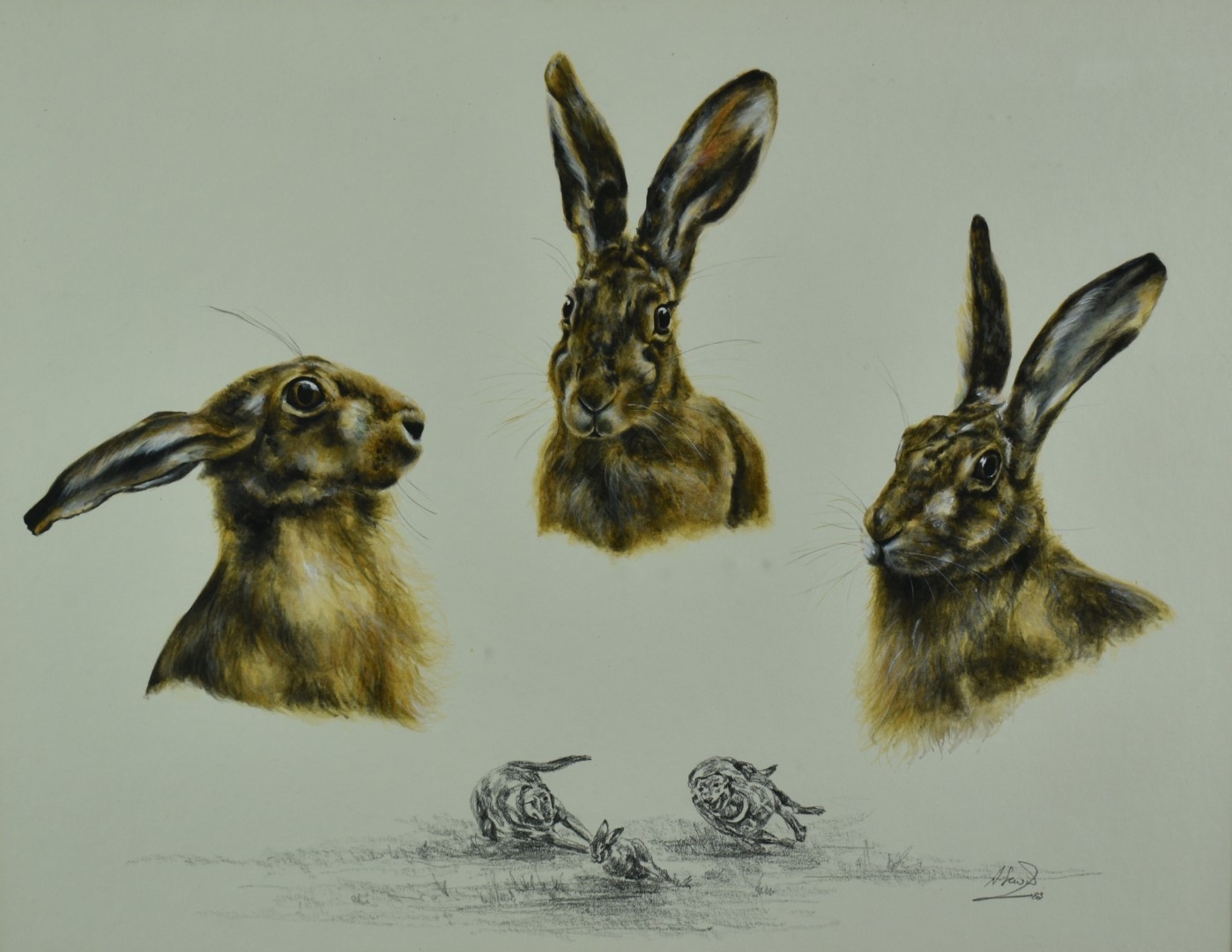 Artwork by Ann Seward, Hare portraits, Made of watercolour and pencil