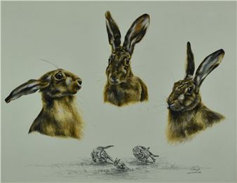 Hare portraits - Ann Seward