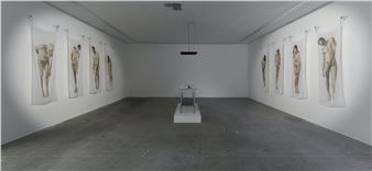 Lilian Steiner: Flesh and Diamonds - Gertrude Contemporary