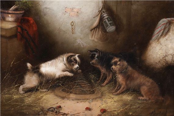 Three Terriers By a Trap by Edward Armfield