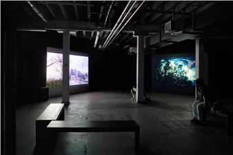 In Governors Island, Seven Video Artists Imagine Radical Futures