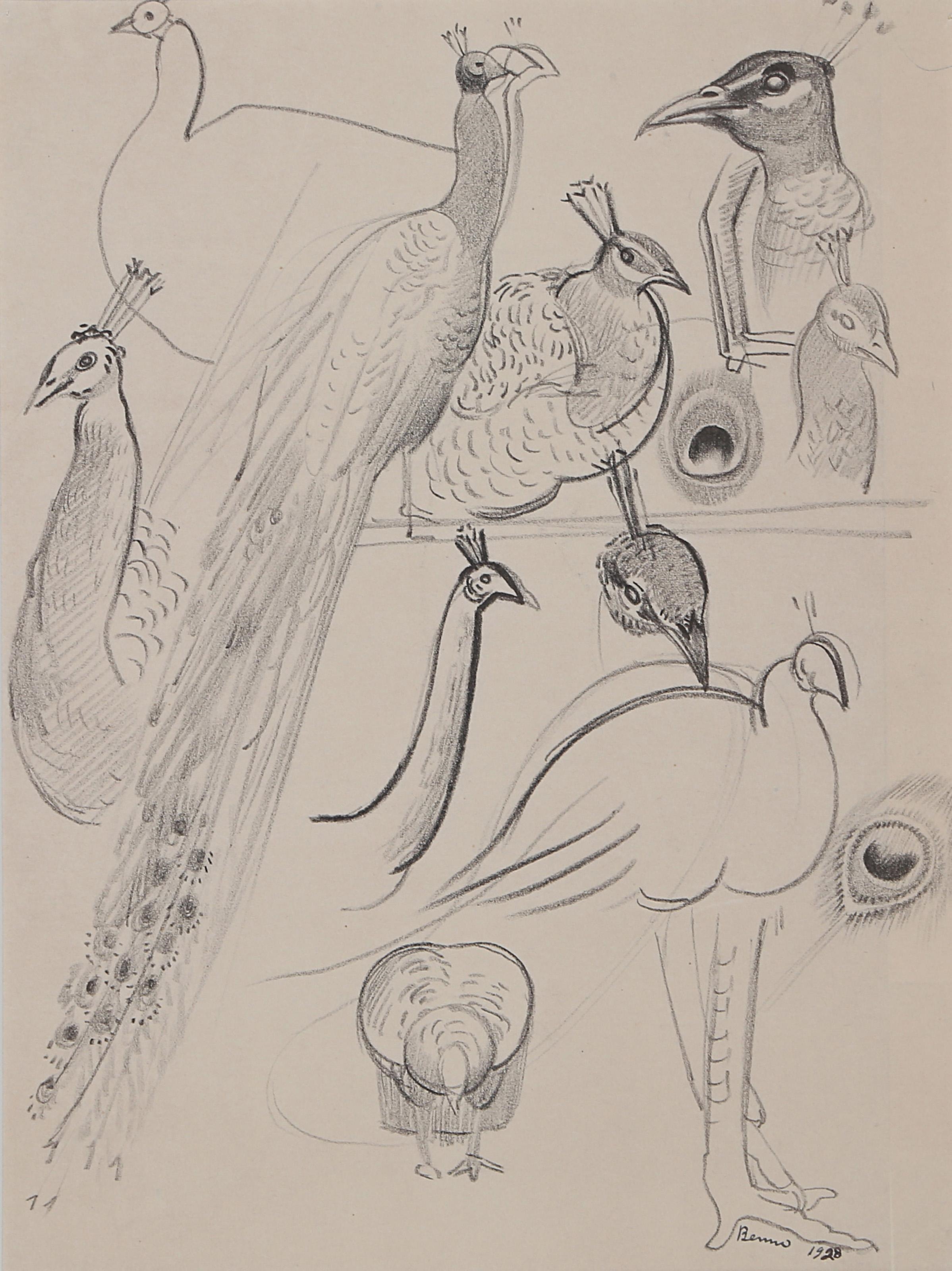 Benjamin Benno | BIRDS (1928) | MutualArt