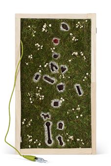 Buried Nostalgia - Madeleine Lill