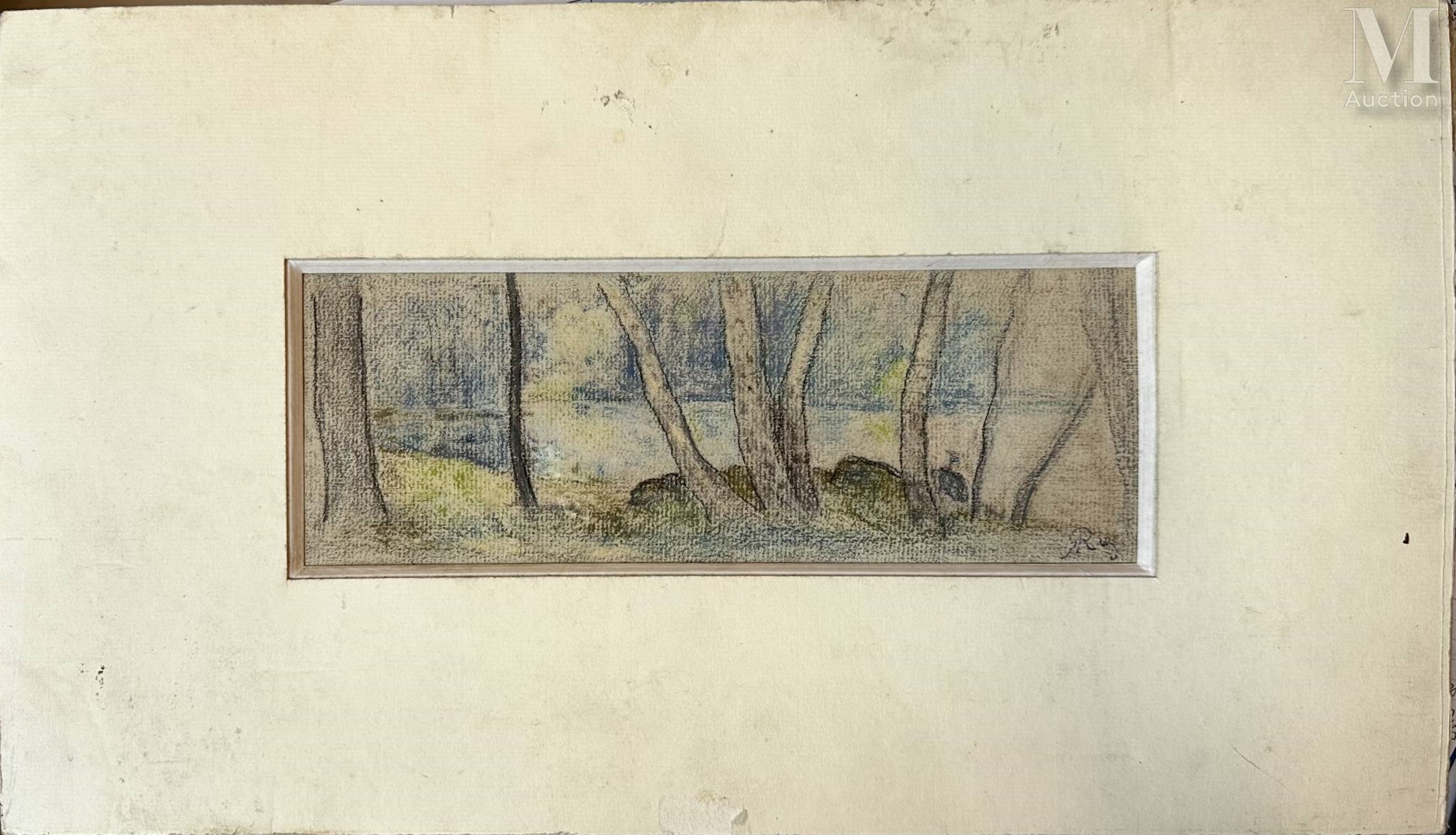 Artwork by Alphonse Ruy, Paysage, Made of Pastel on paper