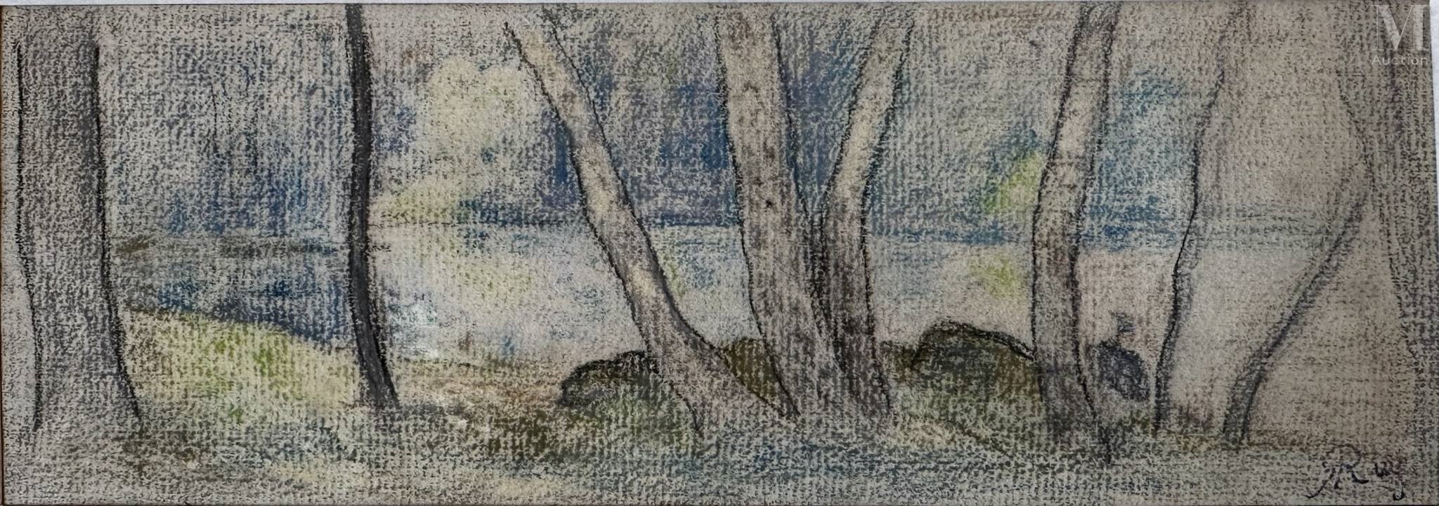 Artwork by Alphonse Ruy, Paysage, Made of Pastel on paper