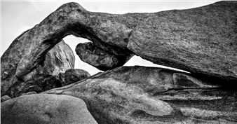 Indiana Artists Club 2023 Annual Members Exhibition - Fort Wayne Museum of Art